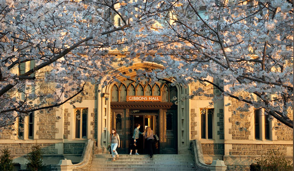 cherry blossom trees frame the entrance of Gibbons Hall